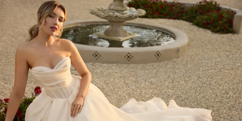 Ball Gown Wedding Dress