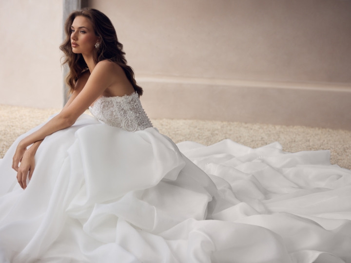 Princess Wedding Dress
